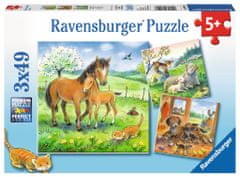 Ravensburger Puzzle Živalsko tuljenje 3x49 kosov