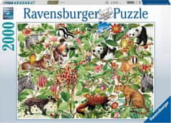 Ravensburger Jungle Puzzle 2000 kosov