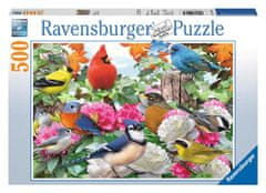 Ravensburger Puzzle - Ptice na vrtu 500 kosov