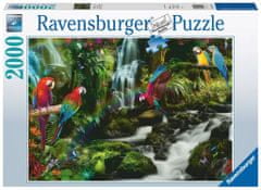 Ravensburger Jungle Puzzle Barvne papige 2000 kosov