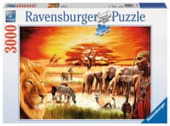 Ravensburger Puzzle - Masaji 3000 kosov