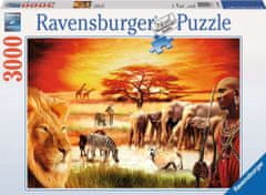 Ravensburger Puzzle - Masaji 3000 kosov