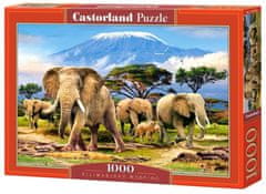 Castorland Puzzle Jutro pod Kilimandžarom 1000 kosov