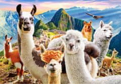 Castorland Llama Selfie Puzzle 200 kosov