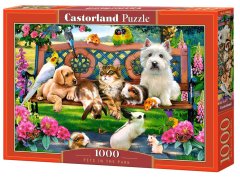 Castorland Puzzle Hišni ljubljenčki v parku 1000 kosov