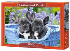 Castorland Francoski buldog, mladički Puzzle 1000 kosov