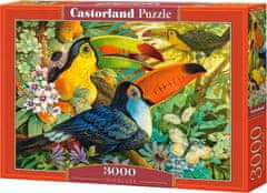 Castorland Puzzle Barvni tukani 3000 kosov