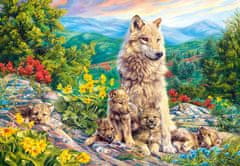 Castorland Puzzle New Wolf Generation 1000 kosov