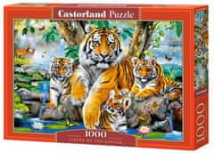 Castorland Puzzle Tigri ob reki 1000 kosov