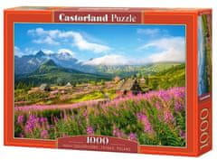 Castorland Puzzle Dolina Gąsienicowa, Tatre 1000 kosov