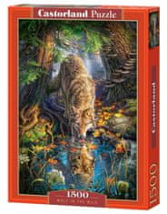 Castorland Pijača Wolf Puzzle 1500 kosov