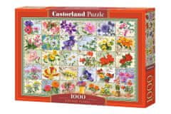 Castorland Cvetlični herbarij Puzzle 1000 kosov