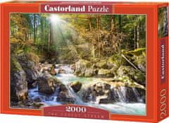 Castorland Puzzle Reka v gozdu 2000 kosov