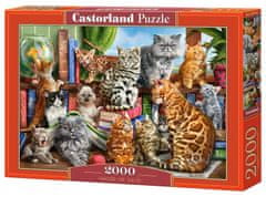 Castorland Mačja hiša Puzzle 2000 kosov