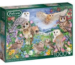 Jumbo FALCON Puzzle Sove v gozdu 1000 kosov