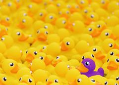 Ravensburger Puzzle Challenge: Ducklings 1000 kosov