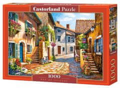 Castorland Puzzle Potovanje po vasi 1000 kosov