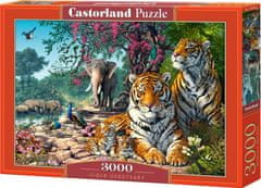 Castorland Tigrovo zavetišče Puzzle 3000 kosov