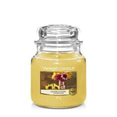 Yankee Candle Zlata jesenska sveča 411g