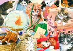 ENJOY Puzzle Curious Cats 1000 kosov