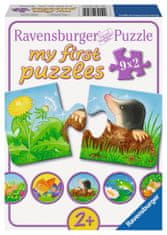 Ravensburger Moja prva sestavljanka Hišni ljubljenčki na vrtu 9x2 kosov