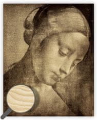 Lesena slika: da Vinci, 450x520