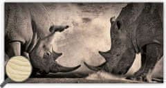 Lesena slika: nosorogi, 605x315