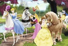 Ravensburger Princess Charming Puzzle 2x24 kosov