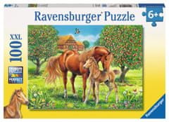 Ravensburger Konji na pašniku XXL sestavljanka 100 kosov