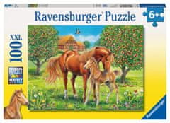 Ravensburger Konji na pašniku XXL sestavljanka 100 kosov