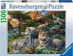 Ravensburger Puzzle - Pomladni volkovi 1500 kosov