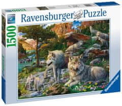 Ravensburger Puzzle - Pomladni volkovi 1500 kosov