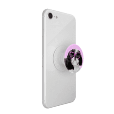 PopSockets PopTop Gen.2, Sassy Shih Tzu, shih tzu s sončnimi očali, zamenljiv vrh