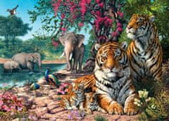 Castorland Tiger Sanctuary Puzzle 300 kosov