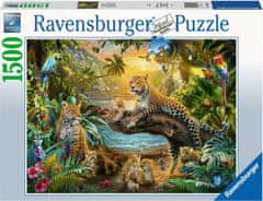 Ravensburger Savannah Puzzle 1500 kosov