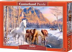 Castorland Winter Thaw Puzzle 500 kosov