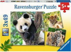 Ravensburger Panda, tiger in lev sestavljanka 3x49 kosov