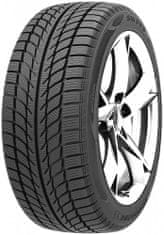 Westlake zimske gume SW608 205/55R16 91H 