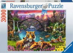 Ravensburger Puzzle Tigri v raju 3000 kosov