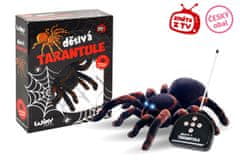 Strašljiva tarantula RC