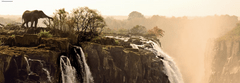 Heye Panoramska sestavljanka Slon (Viktorijini slapovi, Zambija) 1000 kosov