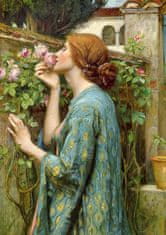 ENJOY Uganka John William Waterhouse: Duša vrtnice 1000 kosov