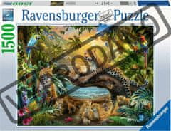 Ravensburger Savannah Puzzle 1500 kosov