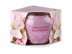 Emocio Glass Decor 70x62 mm Orchard Blossom, dišeča sveča