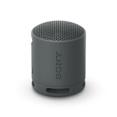 Sony SRS-XB100/Mono/črna