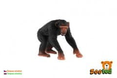 Šimpanz študiozni zooted plastični 7cm