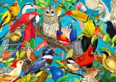 ENJOY Puzzle Feathered Madness 1000 kosov