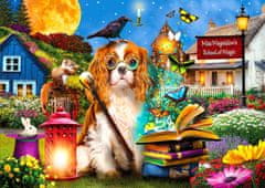 ENJOY Puzzle School of magic 1000 kosov