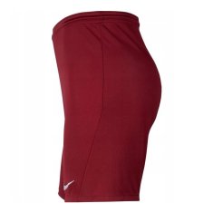 Nike Hlače bordo rdeča 173 - 177 cm/S Dry Park Iii