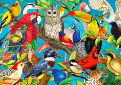 ENJOY Puzzle Feathered Madness 1000 kosov